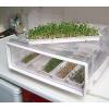 Germinator automat - Germinatoare Automate