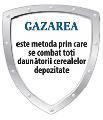 GAZARI CEREALE