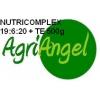 Ingrasamant Nutricomplex 19-6-20 TE 500g  - Ingrasaminte