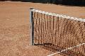Fileu tenis de camp
