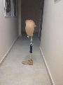 PROTEZA DE COAPSA MODULARA CU VACUUM PERFORMANTA