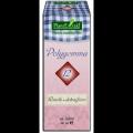 Polygemma nr 12 - Rinichi Detoxifiere