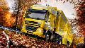 Transport international de marfuri