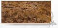 travertin autumn leaves 30,5x61x1,2