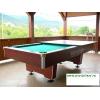 Masa de biliard- dubla utilizare  - Masa de Biliard