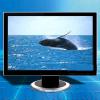 Monitor touch screen Cando - Monitoare