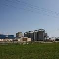 Executie si montaj hala metalica rizerie - Structuri Metalic