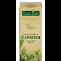 Extract din mladite de caprifoi LONICERA NIGRA