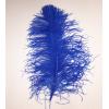 Pene de strut pentru decor Bleu Royal 33-40 cm