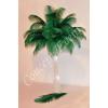 Pene de strut Verzi 33-40 cm - Aranjamente&nbsp;&nbsp;Masini
