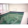 Piscine placate cu gresie - Piscine