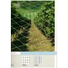 Plase pentru protectie impotriva pasarilor - Plase protectie