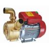 Pompe centrifugale cu rotor flexibil - Pompe