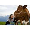 Proiecte de finantare mediul rural pentru tineri fermieri