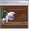 Publicitate newsletter