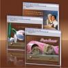 Publicitate online