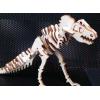 Puzzle 3-D din lemn T-Rex