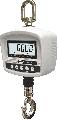 Cantar macara carlig DR-300 cu telecomanda