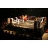 Ring de box TeamX ProBoxing Ring 6 5 x 6 5 m AIBA  - Ring Bo