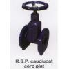 Robinet Sertar Pana Cauciucat C p