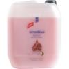 Sapun lichid cu rodie si nuca de cocos Amadeus - 5L