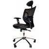 Scaun ergonomic de birou OFF910