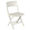 Scaun pliabil Floris