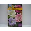 Seminte Campanula medium - Clopotei 1g