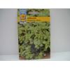 Seminte Oregano Dost 0 5g