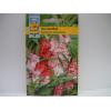 Seminte planta anuala Impatiens balsamina - Balsamina 1g