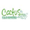 Servicii curatenie