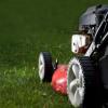 Servicii de intretinere gazon - Gazon