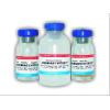 Set diagnostic veterinar pentru ecvine Anemiaecvitest