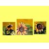 Set tablouri Floarea - soarelui 3  - Tablouri