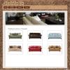 Site Web - pachet Template