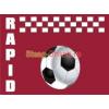 Steag sport Rapid