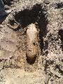 DECONTAMINARE BOMBE NEEXPLODATE