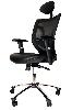 Scaun de birou ergonomic 910
