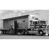 Transporturi internationale de marfuri - Transport Marfa