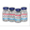 Vaccin pasari ND Test