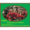 Visin Productiva de Debretin