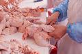 Procesare carne pui