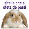 Web site la cheie
