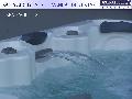 Jacuzzi PACIFIC 30