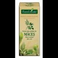Extract din mladite de maces ROSA CANINA