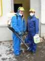 DEZINSECTIE SIBIU