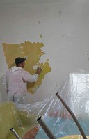 Igienizari interioare