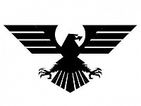 AGENTIA DE DETECTIVI EAGLE ARAD