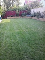 AMENAJARI SPATII VERZI