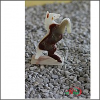 Cal Onix doua culori